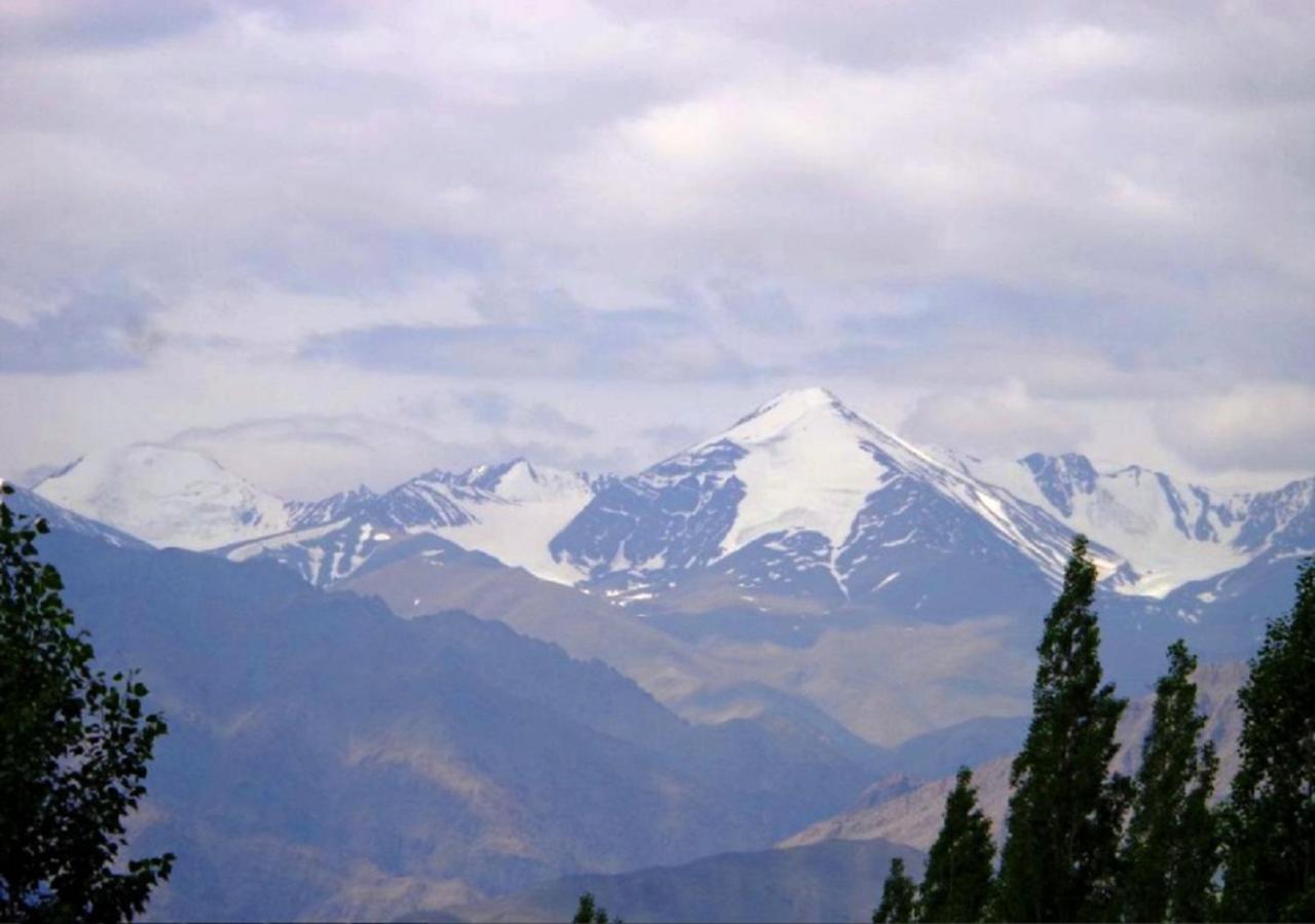 Hotel Ladakh Heaven Leh Exterior foto